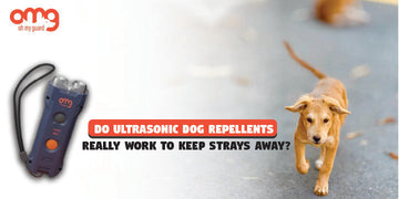 Do Ultrasonic Dog Repellents Really Work to Keep Strays Away?