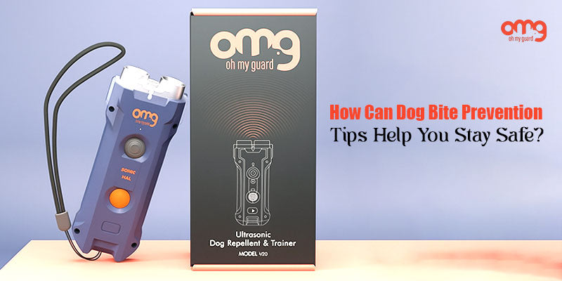 How Can Dog Bite Prevention Tips Help You Stay Safe?